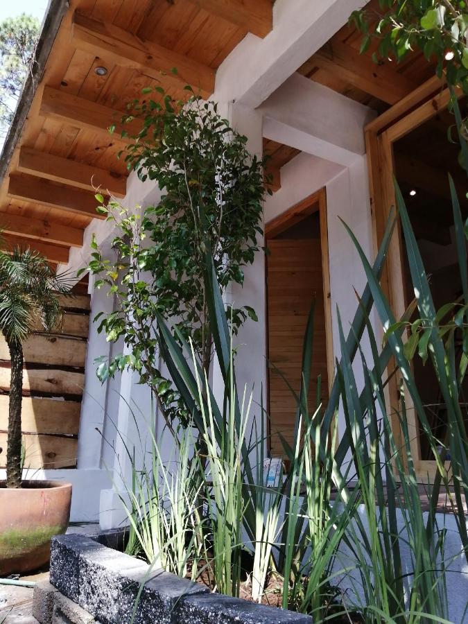 Вилла Encino House Валье-де-Браво Экстерьер фото